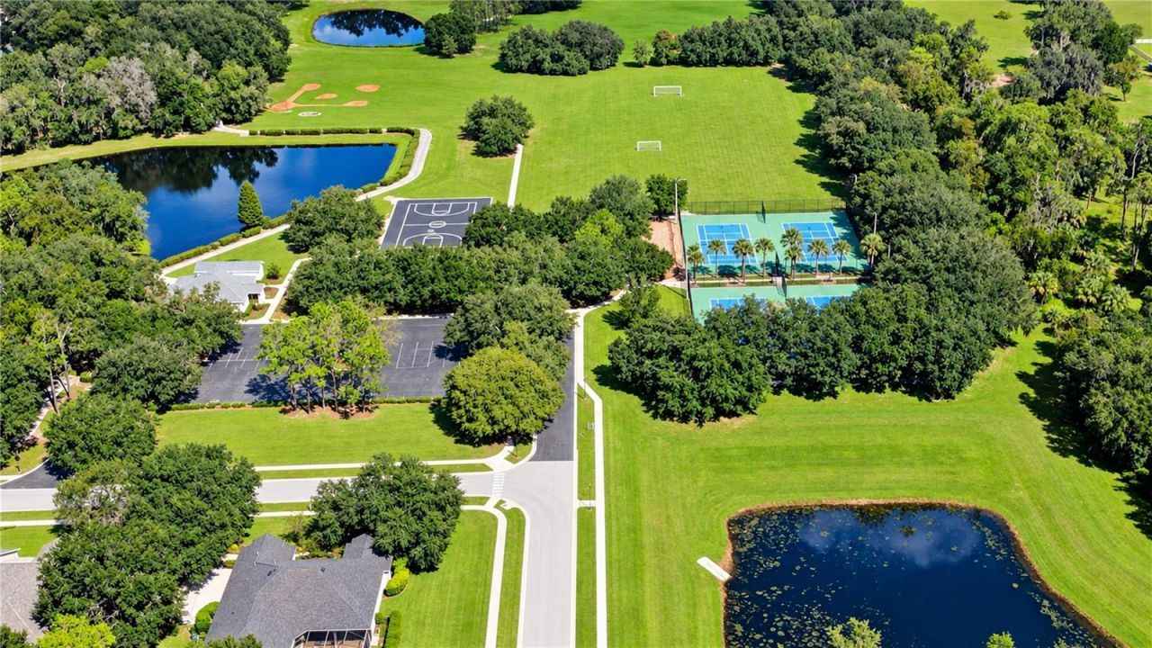 5513 Keeler Oak Street, Lithia, FL 33547 Photo