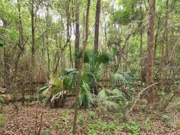 15363 SE 156TH PLACE ROAD , WEIRSDALE, FL 32195