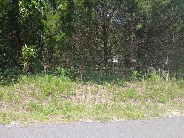 TBD Ben Nevis, Briarcliff, AR 72653