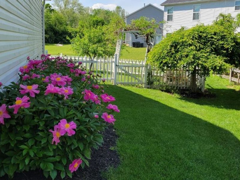2008 Granny Smith Lane, Monroe, OH 45044 Photo 44