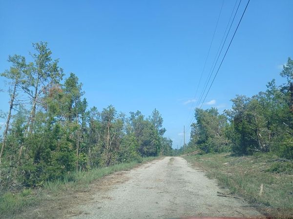 TBD Scenic Drive, Briarcliff, AR 72653