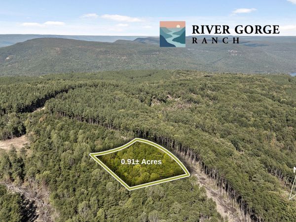 Lot 2160 Fallen Oak Pass, Guild, TN 37340