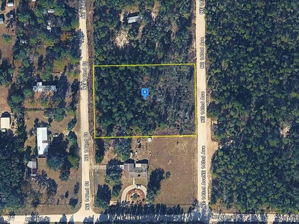 4955 NE 142ND CENTER , WILLISTON, FL 32696
