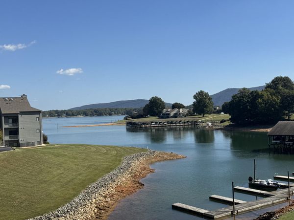 75 Dockside CIR , Unit 308, Moneta, VA 24121