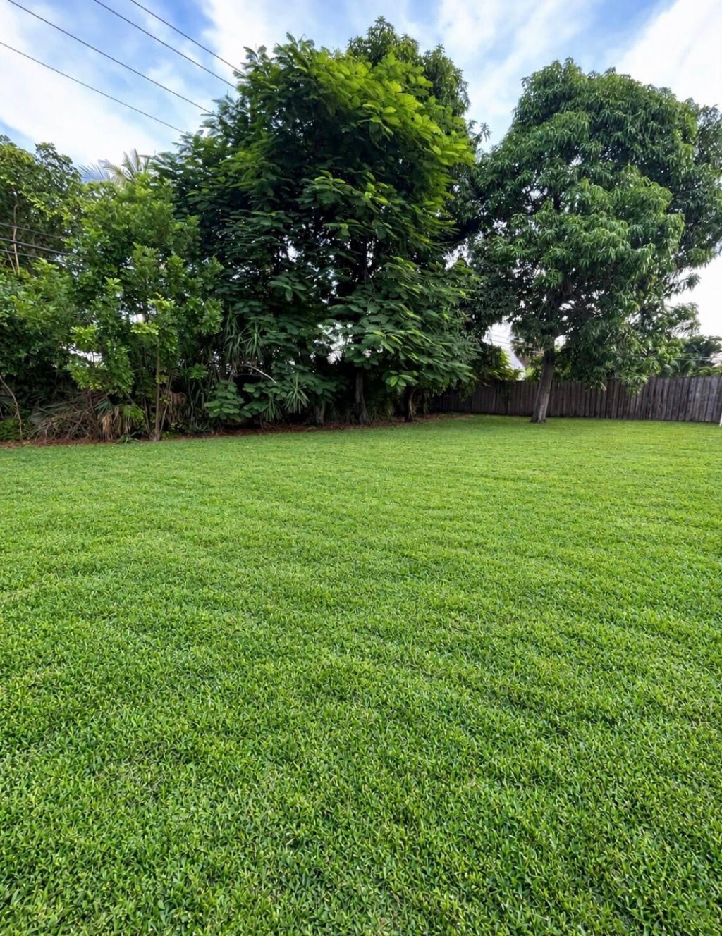 2222 NW 3rd Avenue, Boca Raton, FL 33431 Photo