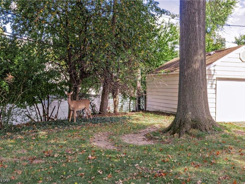 16897 Mapleboro Avenue, Maple Heights, OH 44137 Photo 43