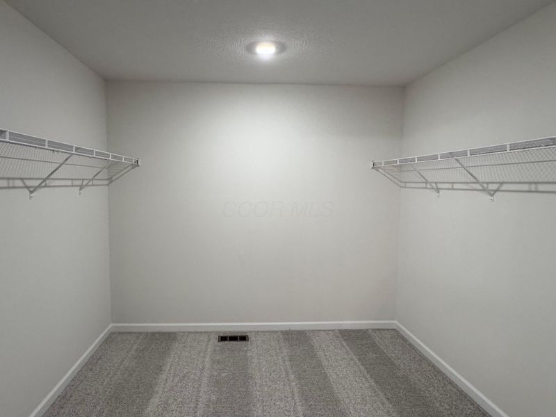 1281 Steller Drive, Unit Lot 2938, Galena, OH 43021 Photo 46