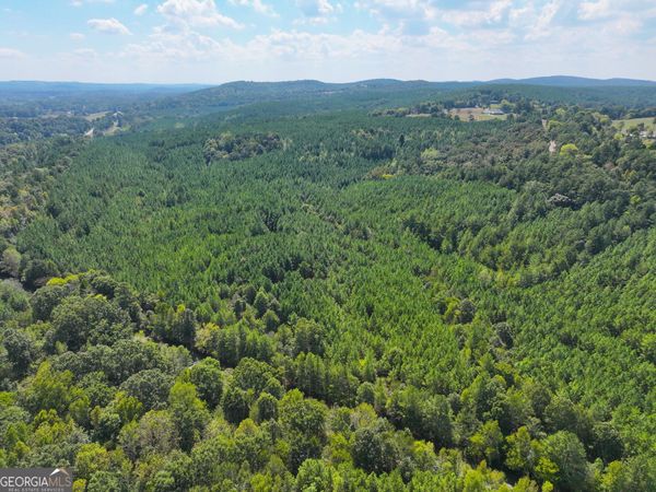 488 +/- Acres on Hall Station Road, Adairsville, GA 30103