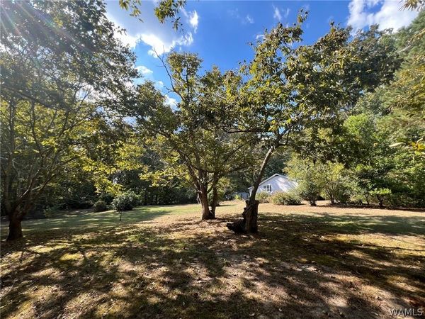 1453 Mount Moriah Church Road, Ethelsville, AL 35461