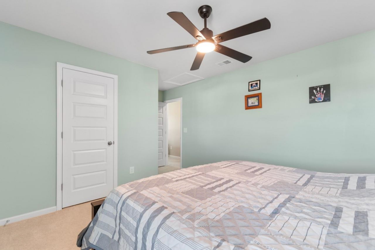 225 Cypress Tree Loop Photo 21
