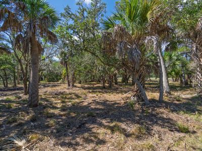 35 Hammocks Way, Edisto Island, SC 29438