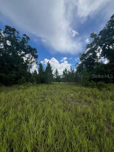 Us Hwy 441, High Springs, FL 32643 Photo