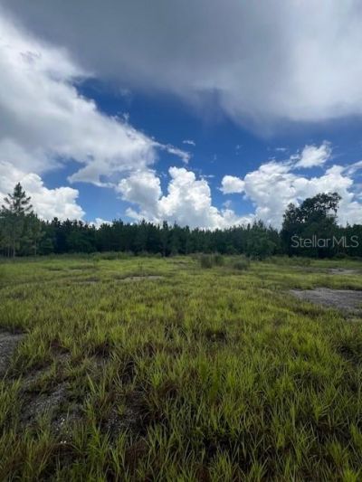 Us Hwy 441, High Springs, FL 32643 Photo
