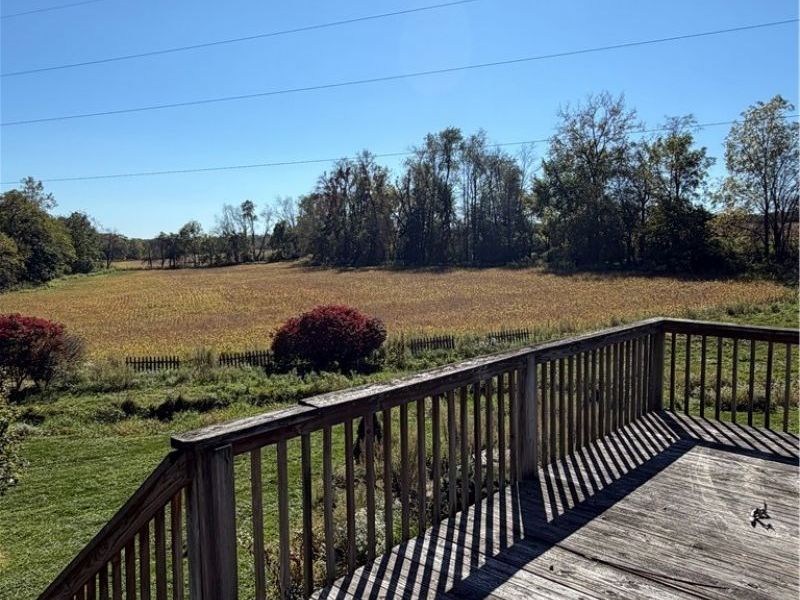 221 County Road 1675, Jeromesville, OH 44840 Photo 13