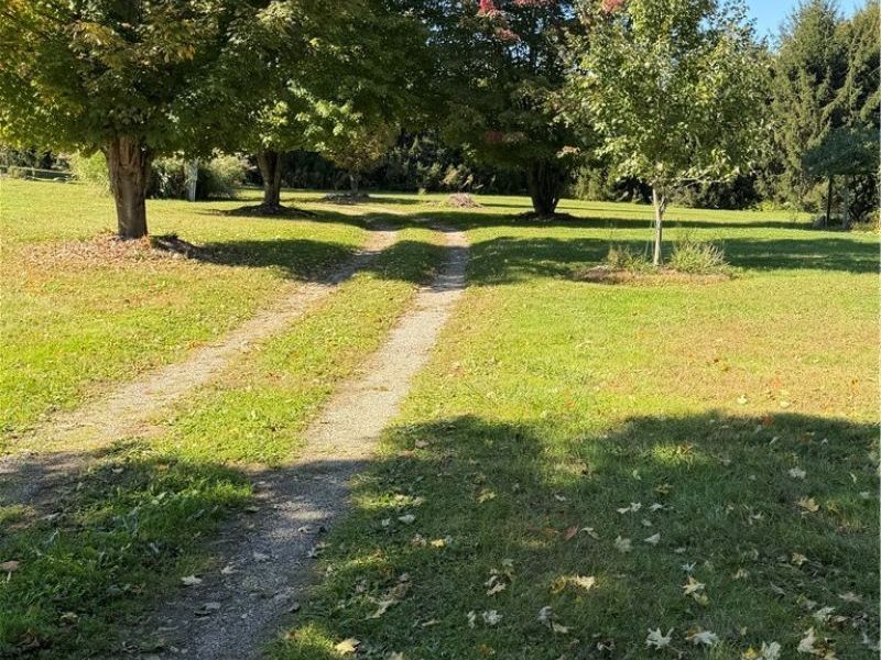 221 County Road 1675, Jeromesville, OH 44840 Photo 2