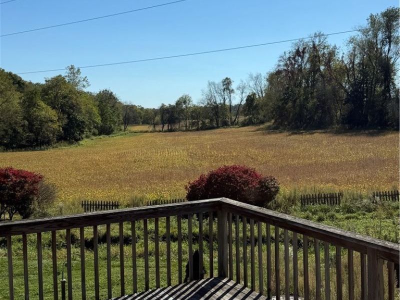 221 County Road 1675, Jeromesville, OH 44840 Photo 7