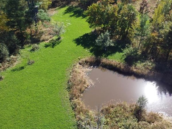 OOO Sparks Road, Pittsville, WI 54466