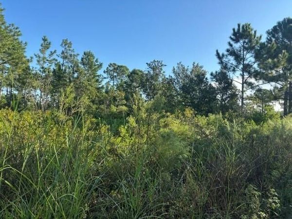 720 Parrot Avenue, Sebring, FL 33872
