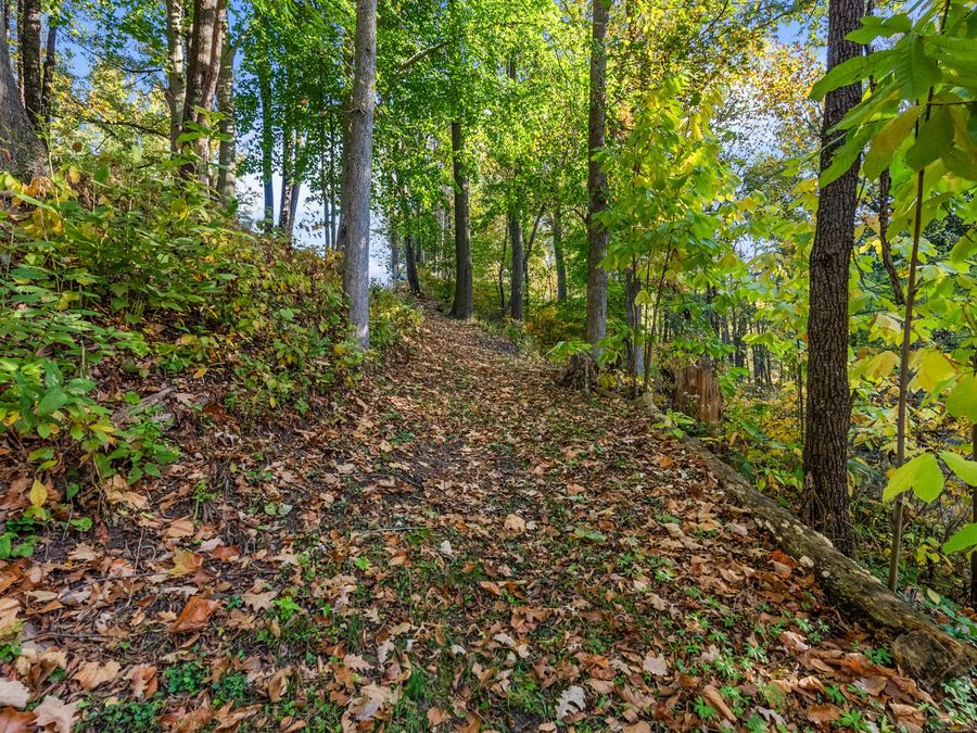 Property Image 101