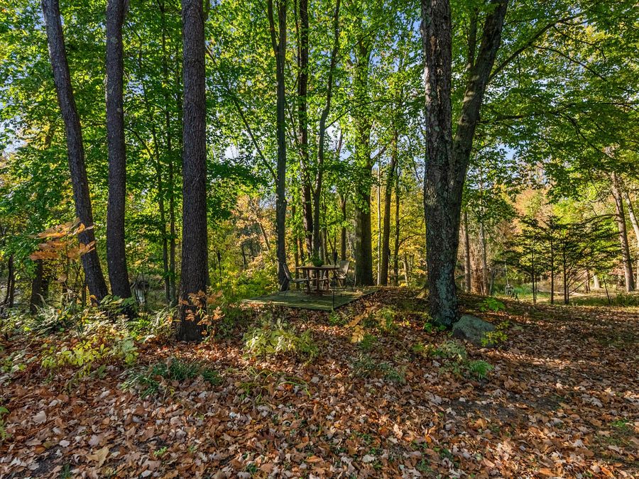 Property Image 94