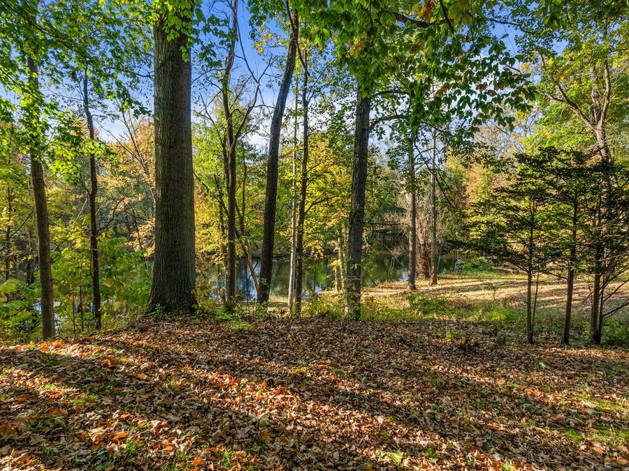 Property Image 96