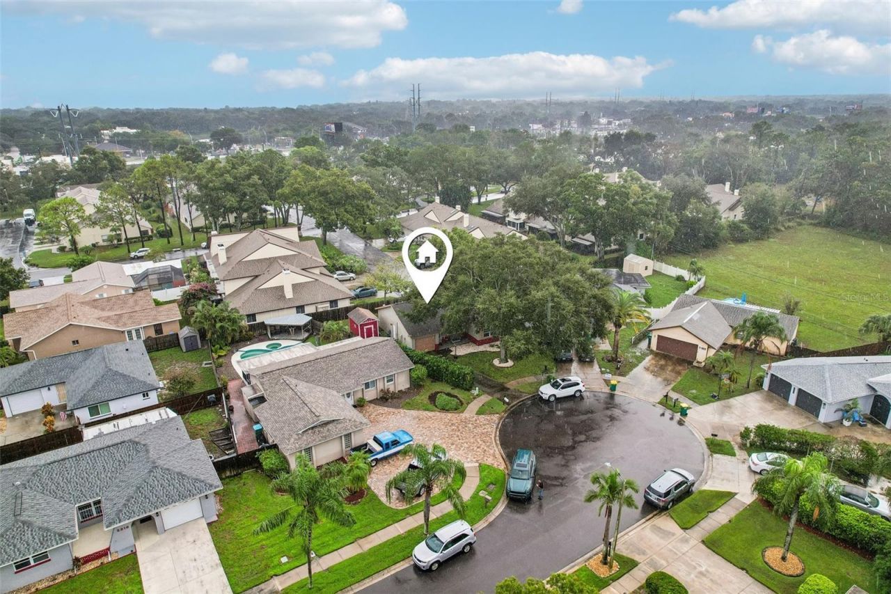2310 Liston Circle, Palm Harbor, FL 34683 Photo