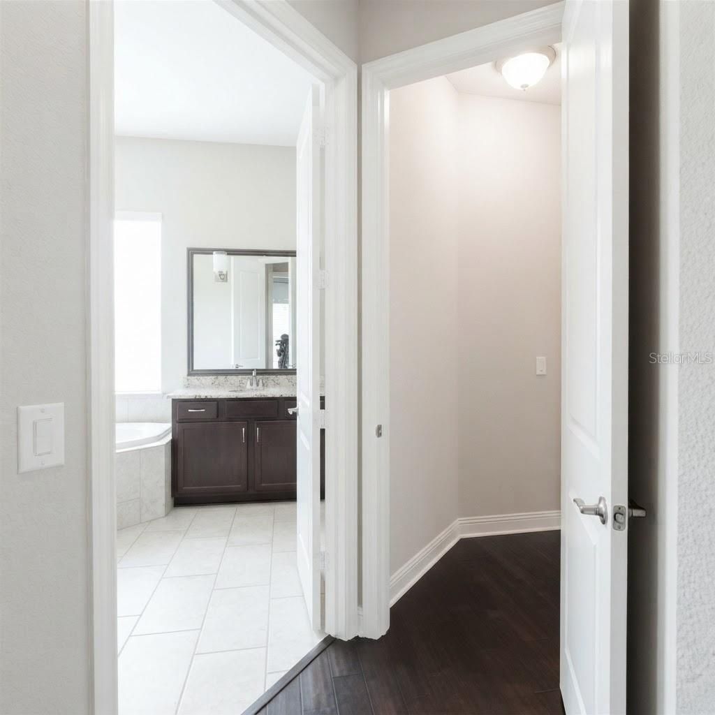 31261 Chesapeake Bay Drive, Wesley Chapel, FL 33543 Photo