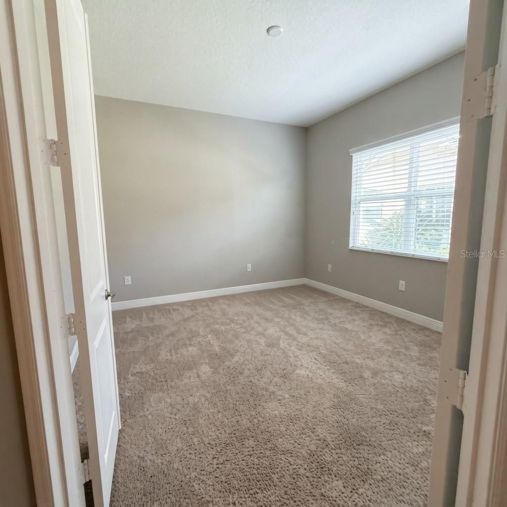 31261 Chesapeake Bay Drive, Wesley Chapel, FL 33543 Photo