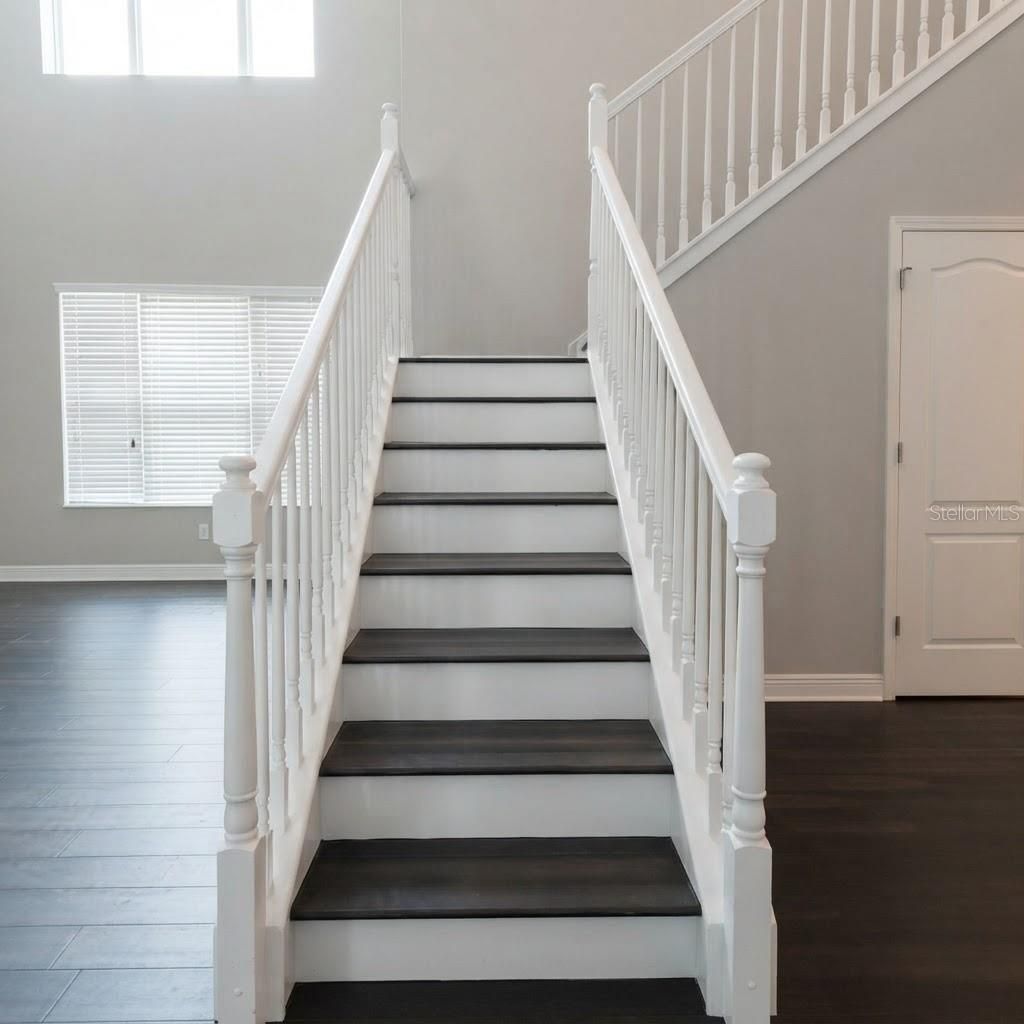 31261 Chesapeake Bay Drive, Wesley Chapel, FL 33543 Photo