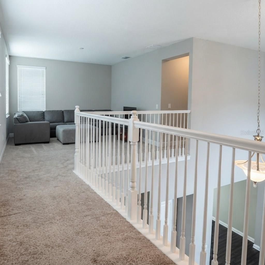 31261 Chesapeake Bay Drive, Wesley Chapel, FL 33543 Photo