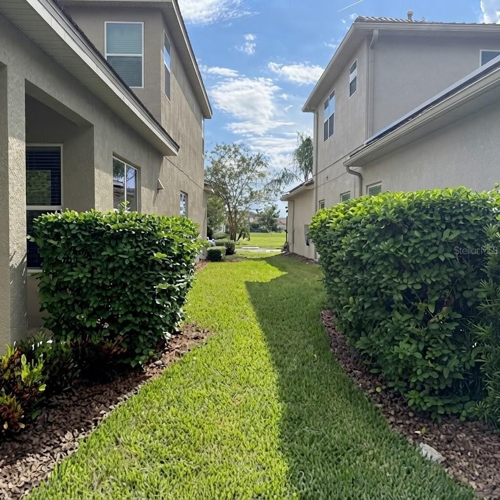 31261 Chesapeake Bay Drive, Wesley Chapel, FL 33543 Photo