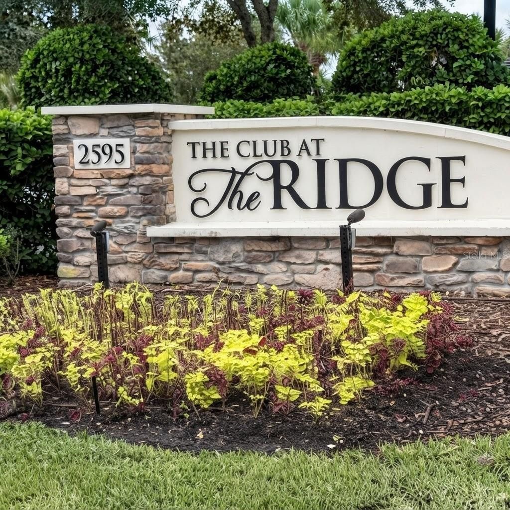 31261 Chesapeake Bay Drive, Wesley Chapel, FL 33543 Photo
