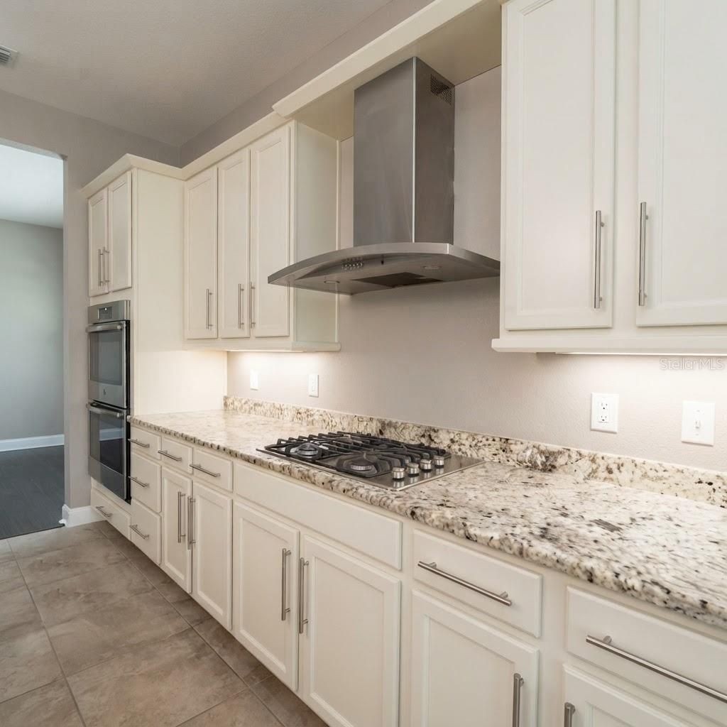 31261 Chesapeake Bay Drive, Wesley Chapel, FL 33543 Photo