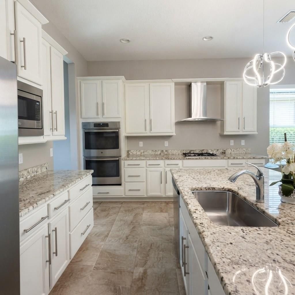 31261 Chesapeake Bay Drive, Wesley Chapel, FL 33543 Photo