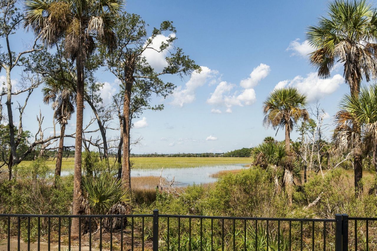982 Tupelo Bay Drive Photo 64