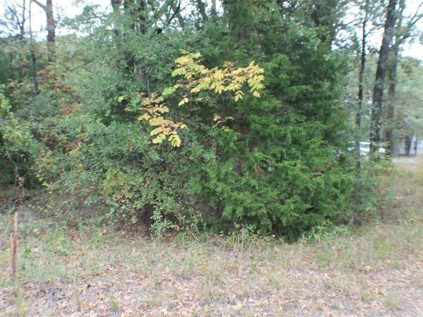 0 Inca Drive, Enchanted Oaks, TX 75156