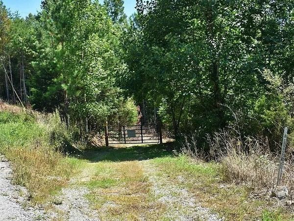 450 Hickory Road, Spring City, TN 37381