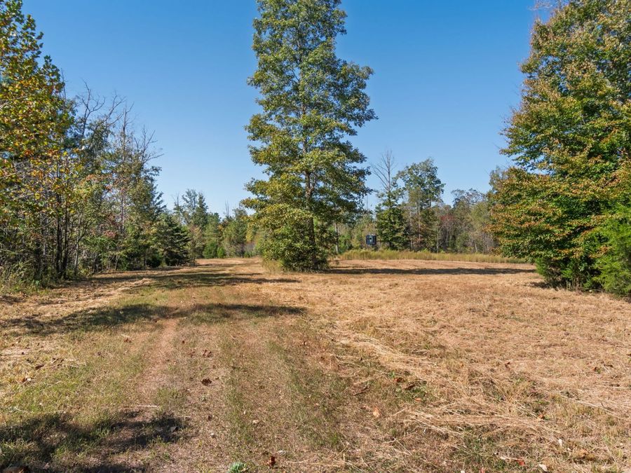 Property Image 45