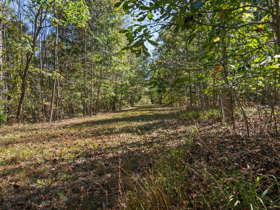 Property Image 50