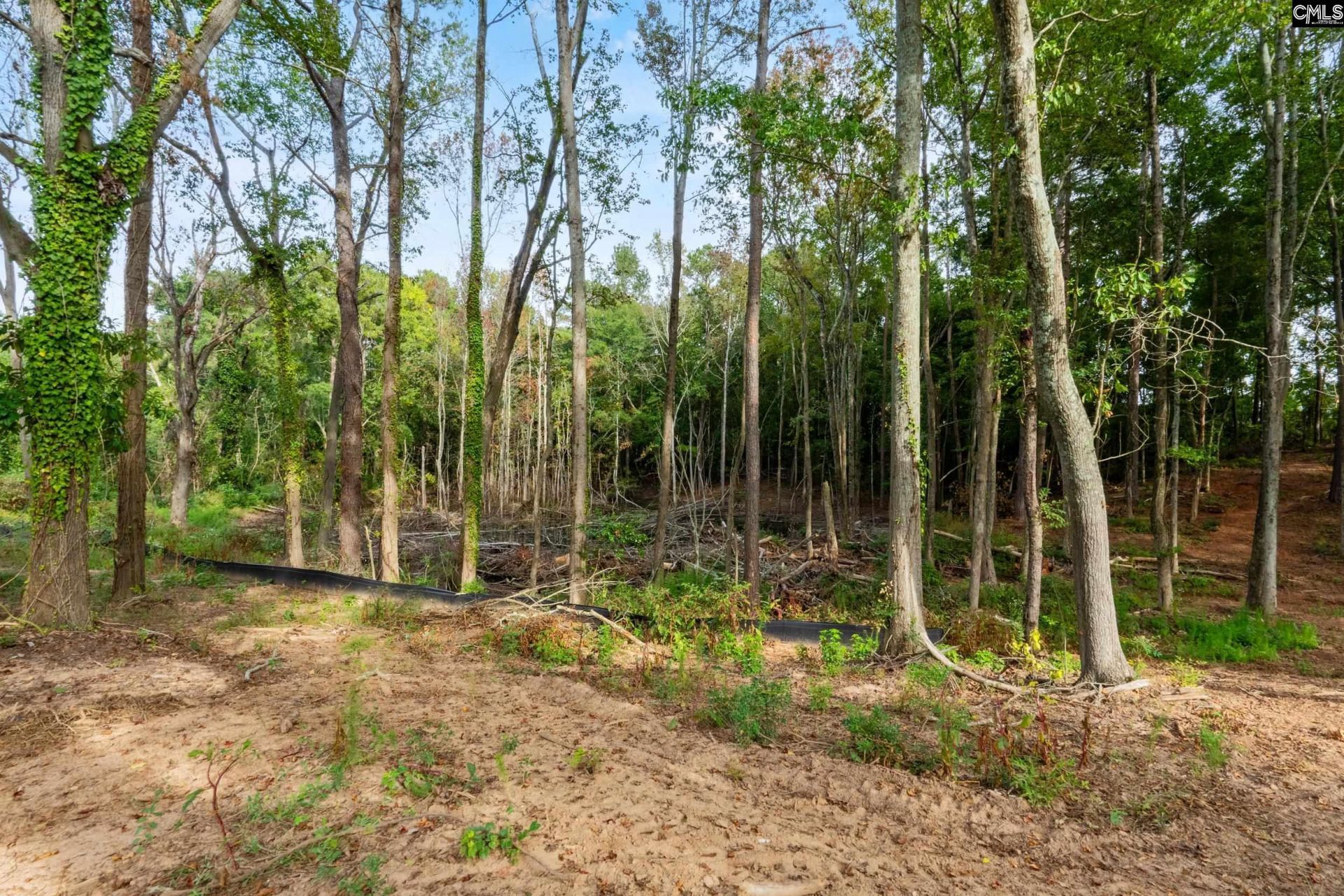 890 Wise Ferry Road  Photo 18