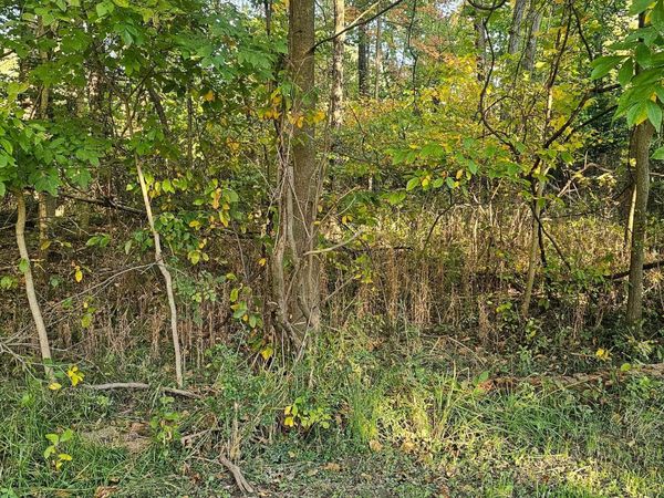 0 Dogwood Road NE, Thornville, OH 43076