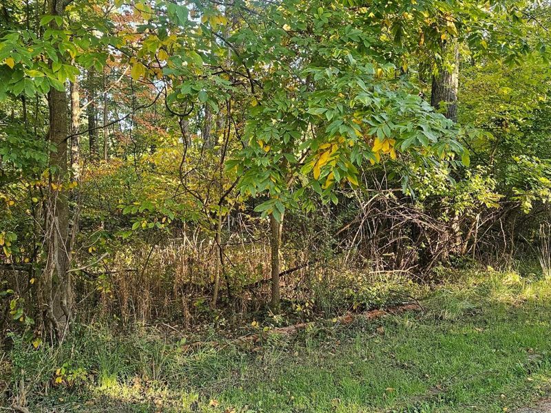 0 Dogwood Road NE, Thornville, OH 43076 Photo 5