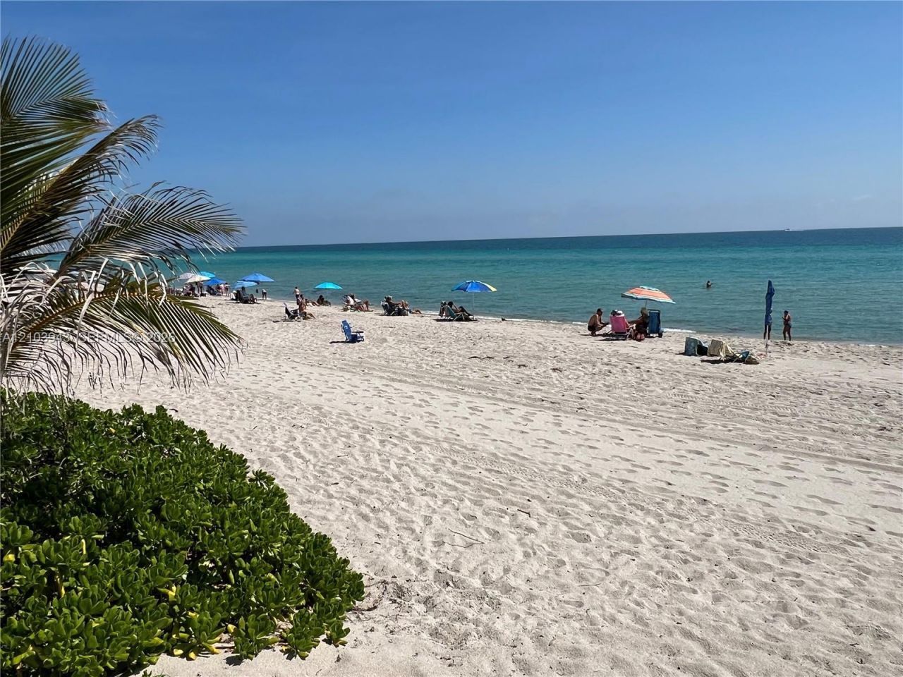 3140 S Ocean Dr , Unit 303, Hallandale Beach, FL 33009 Photo