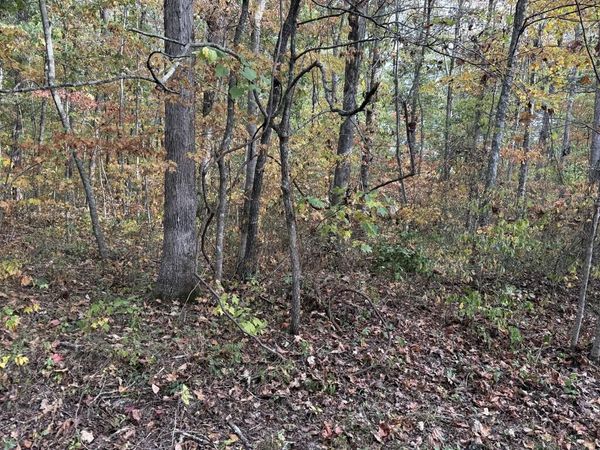 n/a Copley Cemetery Road, Jamestown, TN 38556
