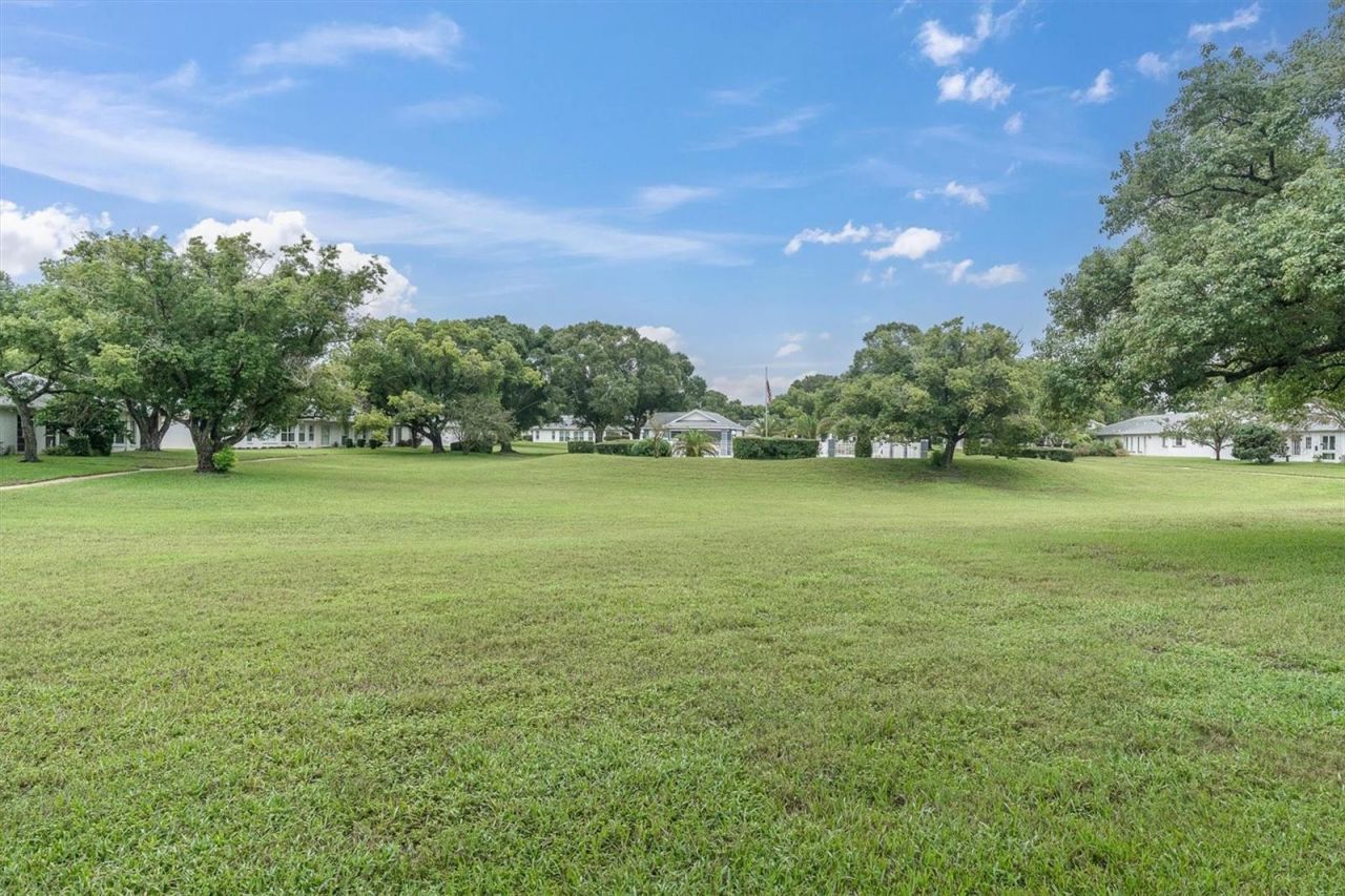 11120 Sandtrap Drive, Port Richey, FL 34668 Photo