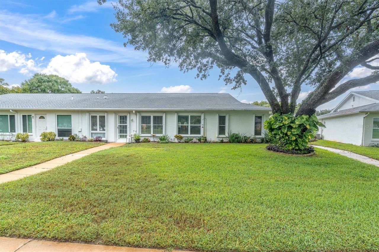 11120 Sandtrap Drive, Port Richey, FL 34668 Photo
