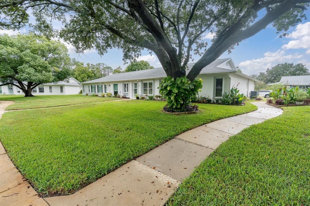 11120 Sandtrap Drive, Port Richey, FL 34668 Photo
