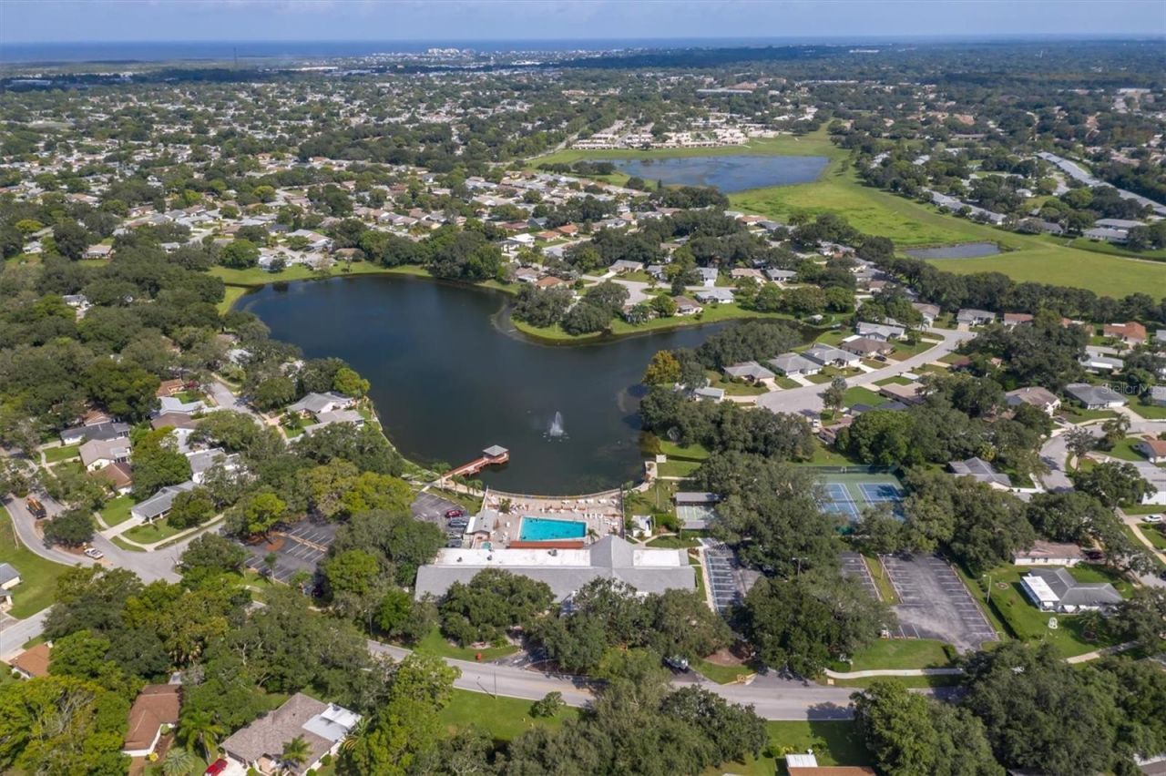 11120 Sandtrap Drive, Port Richey, FL 34668 Photo