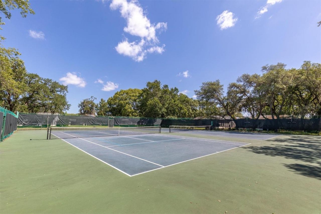 11120 Sandtrap Drive, Port Richey, FL 34668 Photo
