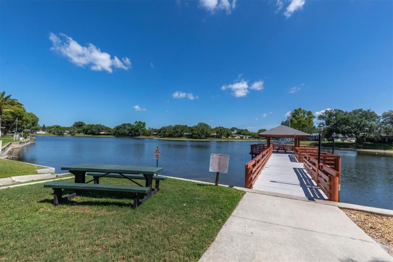 11120 Sandtrap Drive, Port Richey, FL 34668 Photo